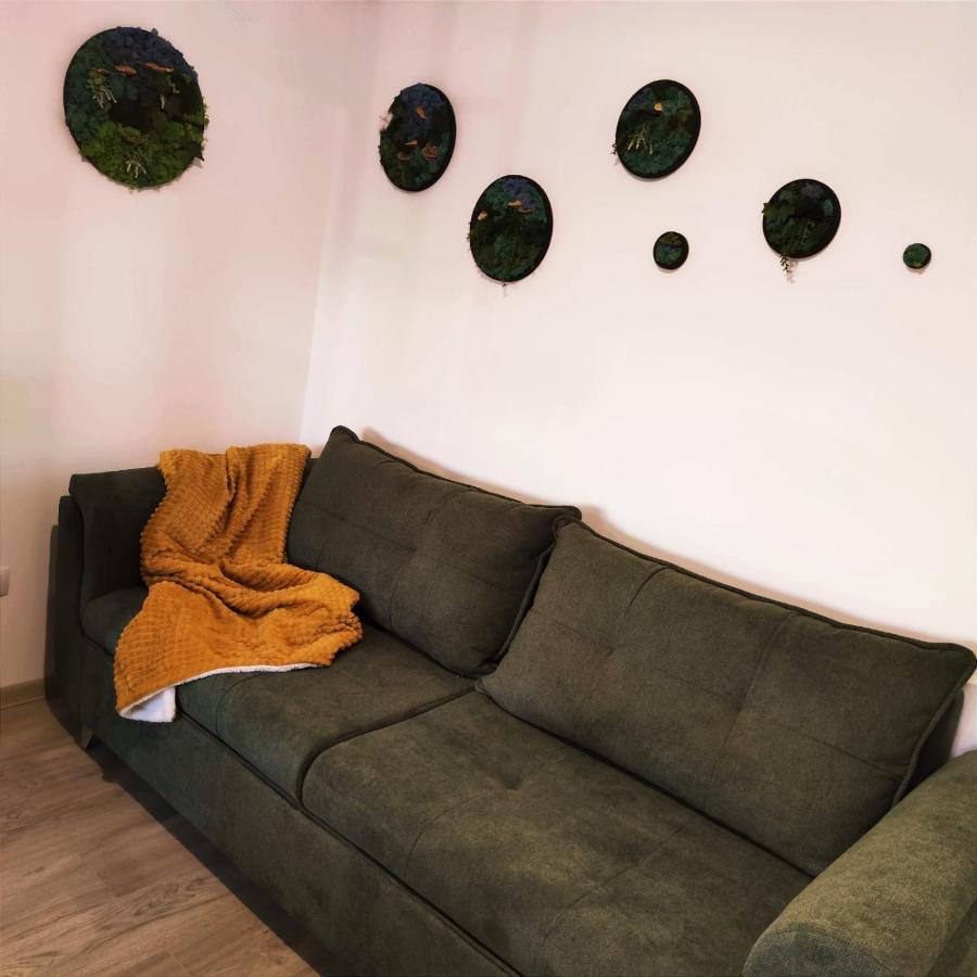 Apartmán Cozy Studio Brašov Exteriér fotografie