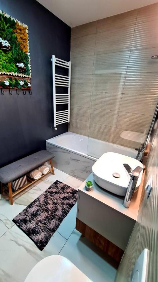 Apartmán Cozy Studio Brašov Exteriér fotografie